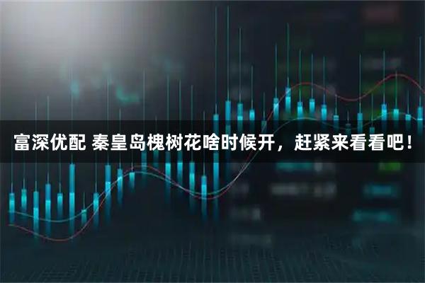 富深优配 秦皇岛槐树花啥时候开，赶紧来看看吧！