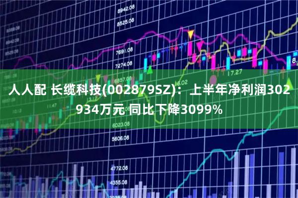 人人配 长缆科技(002879SZ)：上半年净利润302934万元 同比下降3099%